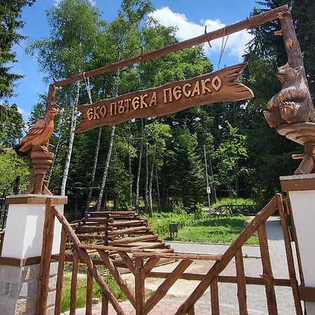 Pinewood Ang Luxurious Apartment A43, Borovets Gardens Exteriör bild