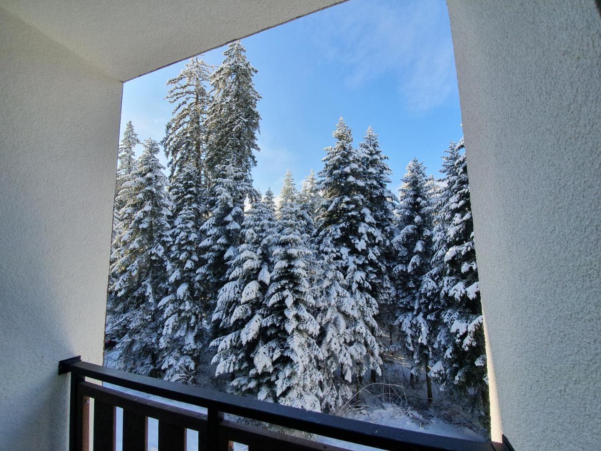 Pinewood Ang Luxurious Apartment A43, Borovets Gardens Exteriör bild
