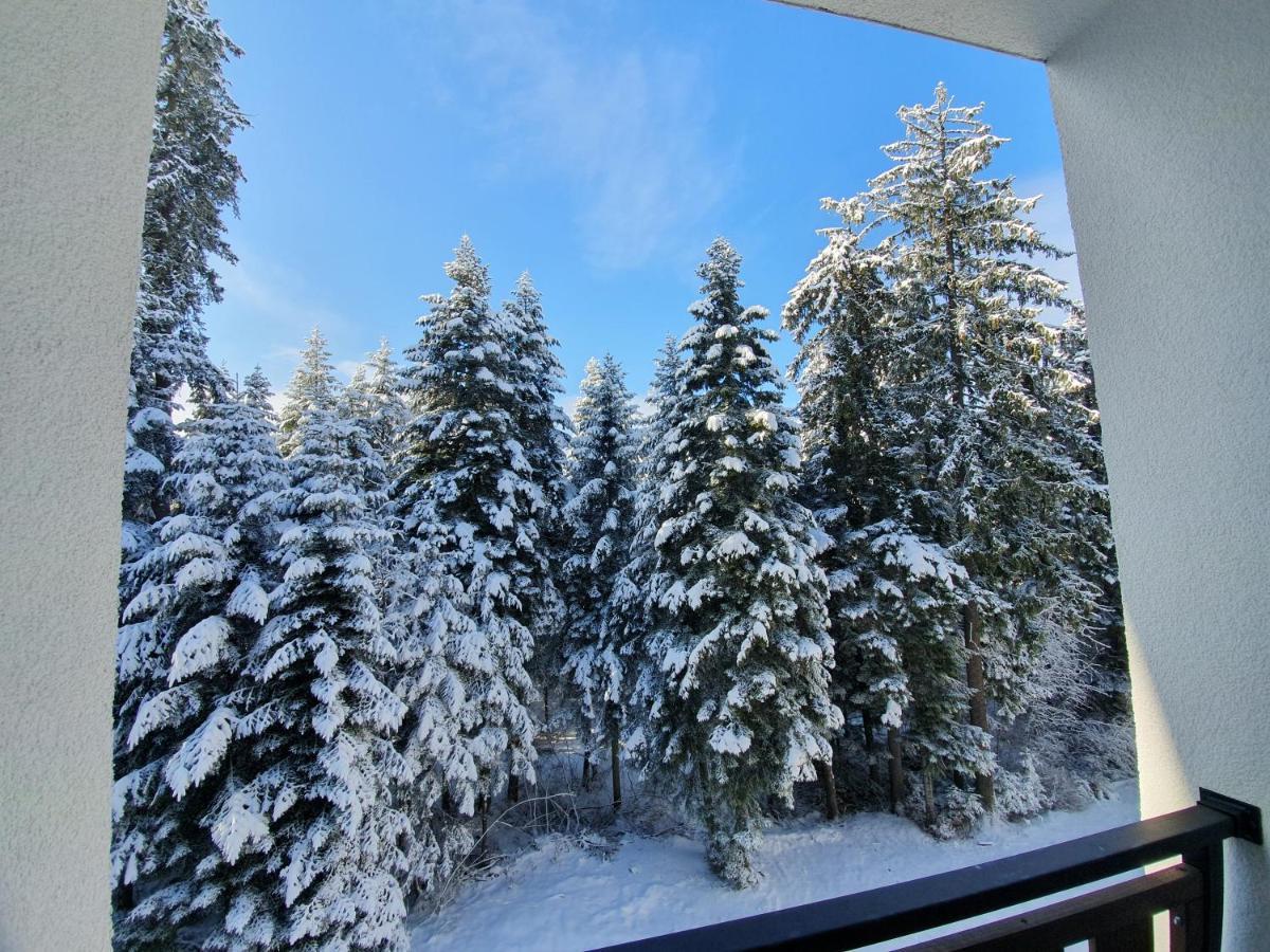 Pinewood Ang Luxurious Apartment A43, Borovets Gardens Exteriör bild