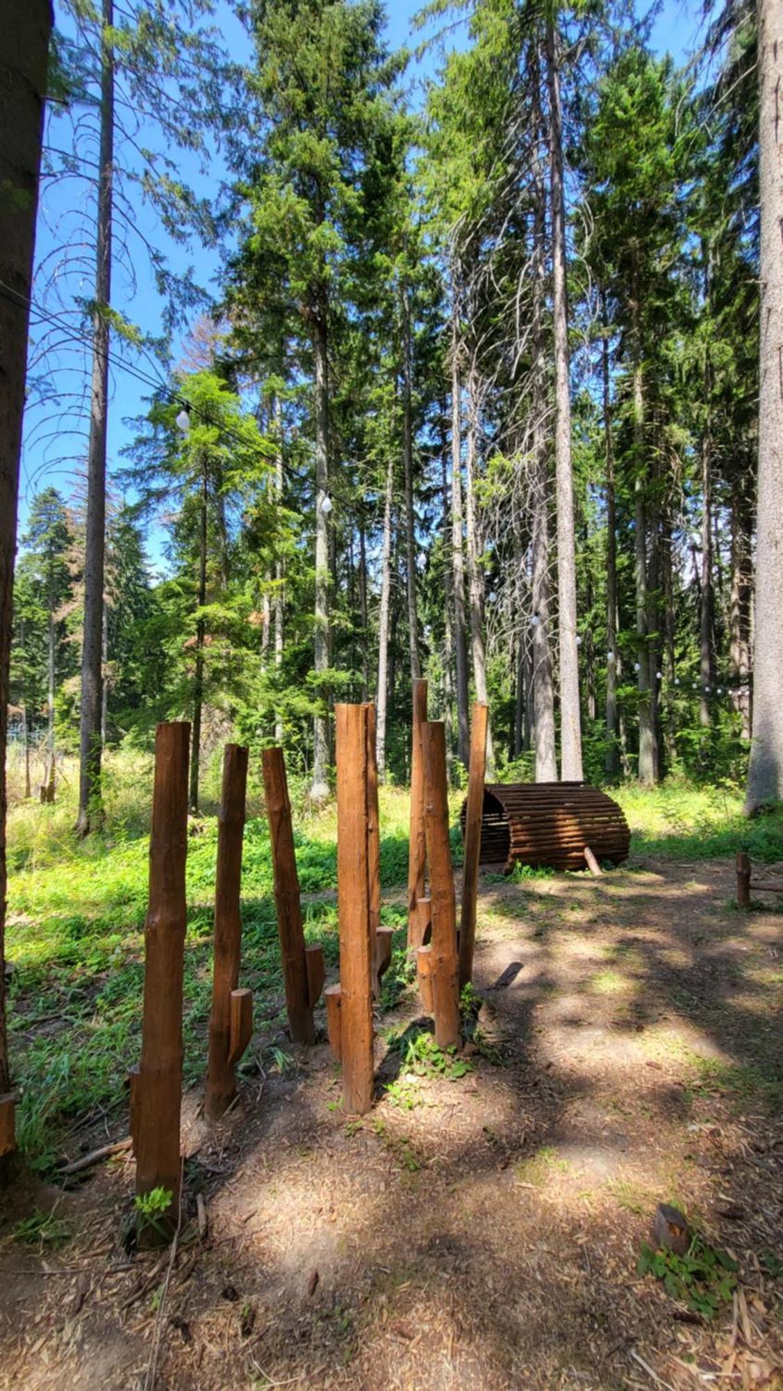 Pinewood Ang Luxurious Apartment A43, Borovets Gardens Exteriör bild