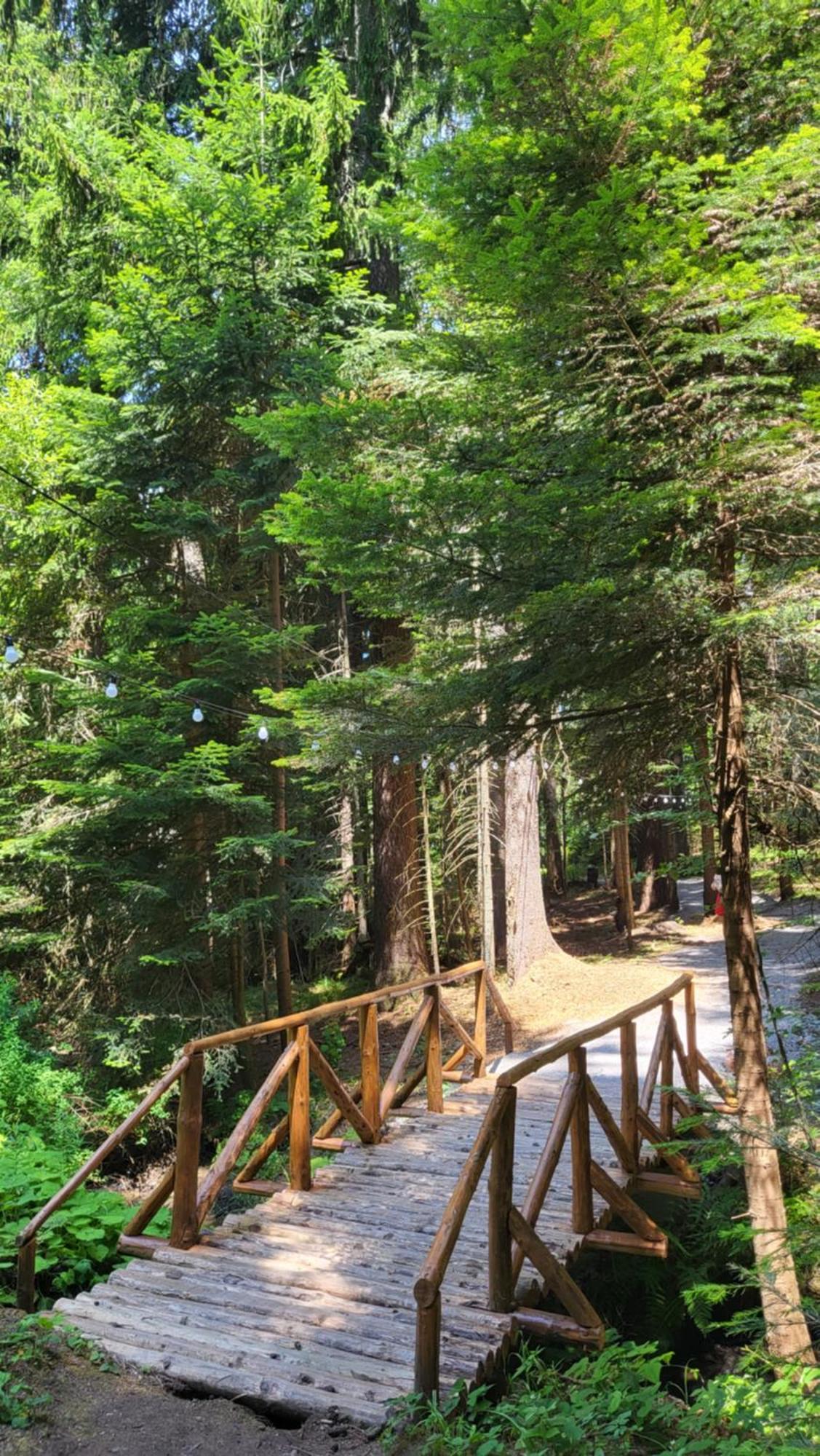 Pinewood Ang Luxurious Apartment A43, Borovets Gardens Exteriör bild