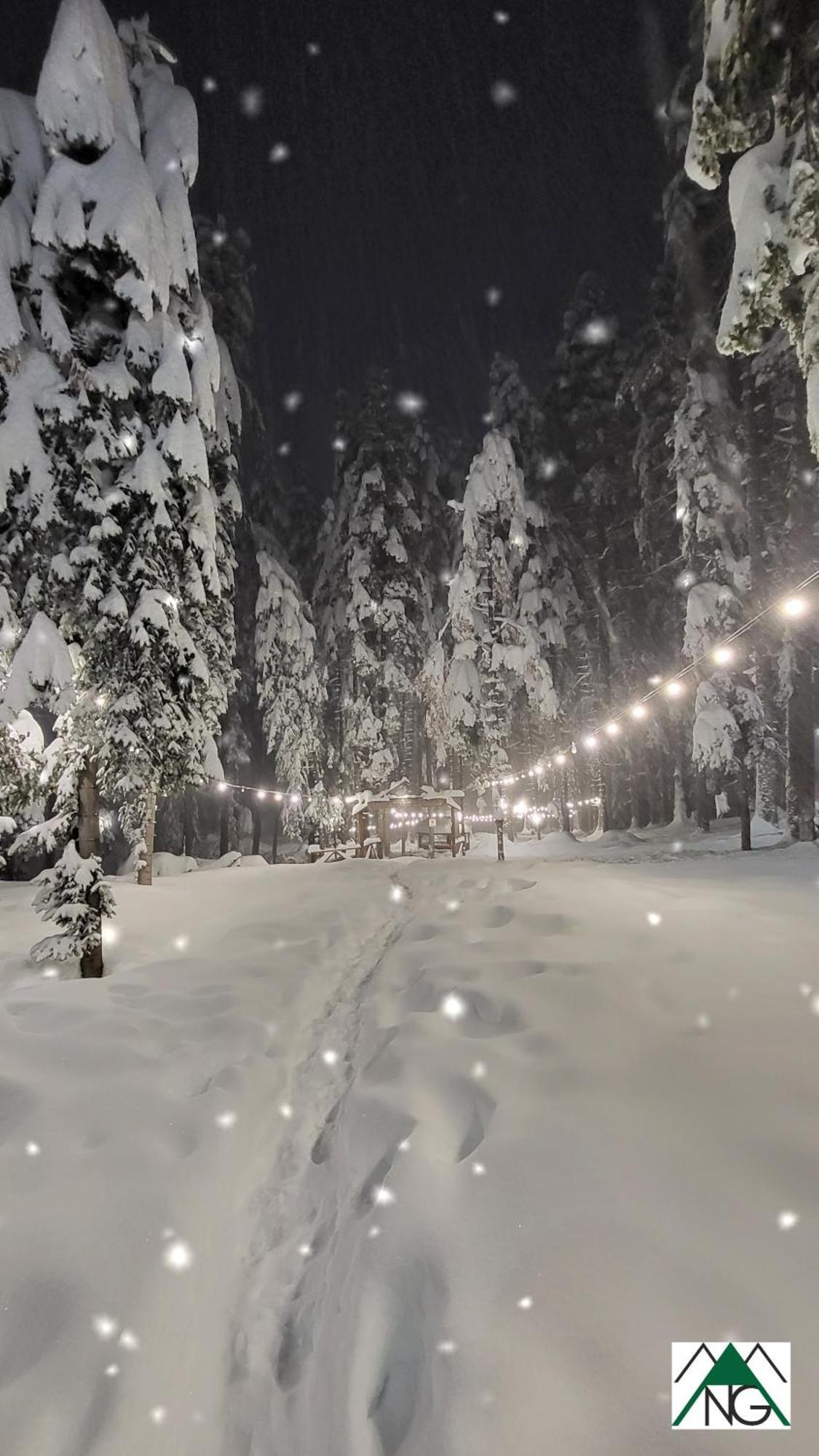 Pinewood Ang Luxurious Apartment A43, Borovets Gardens Exteriör bild